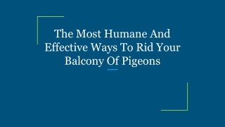 The Most Humane And Effective Ways To Rid Your Balcony Of Pigeons