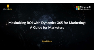 Maximizing ROI with Dynamics 365 for Marketing A Guide for Marketers