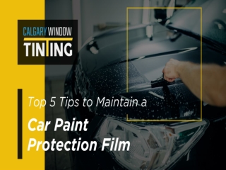 Top 5 Tips to Maintain Car Paint Protection Film