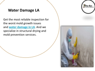 Water Damage LA