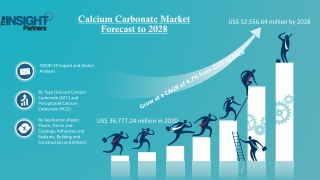 Calcium Carbonate Market Scope and Research Methodology