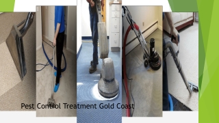 Pest control treatment gold coast