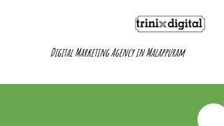 Digital Marketing Agency in Malappuram