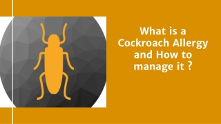 What is a Cockroach Allergy and how to Manage it?