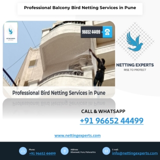 Professional Balcony Bird Netting Services in Pune