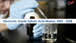 Electronic Grade Sulfuric Acid Market Future Prospects and Forecast To 2028