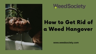 How to Get Rid of a Weed Hangover