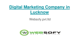 SEO Company in Lucknow