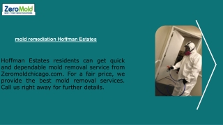 mold remediation Hoffman Estates