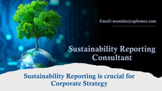 Sustainability Reporting is crucial for Corporate Strategy