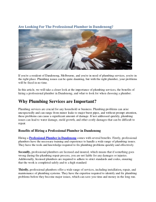 Are Looking For The Professional Plumber in Dandenong