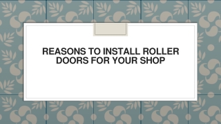 Reasons to install Roller Doors for your Shop