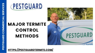 Major Termite Control Methods - Pestguard