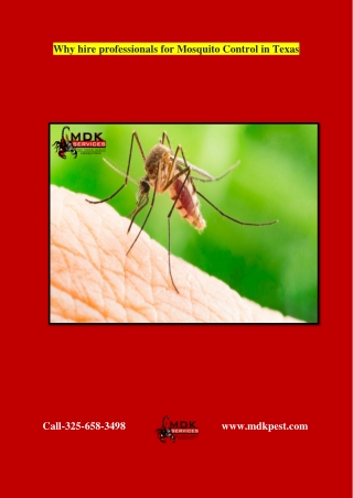 Why hire professionals for Mosquito Control in Texas