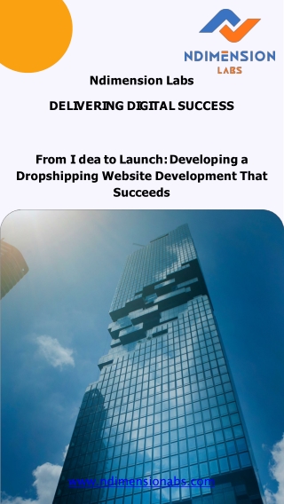 From Idea to Launch Developing a Dropshipping Website Development That Succeeds