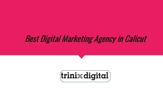 Best Digital Marketing Agency in Calicut