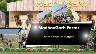 Farm In Gurgaon