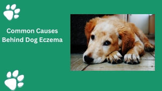 causes of eczema in dogs
