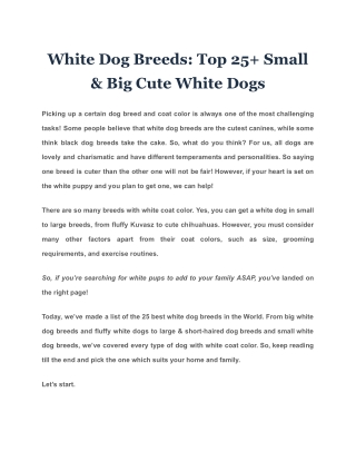 White Dog Breeds: Top 25  Small & Big Cute White Dogs