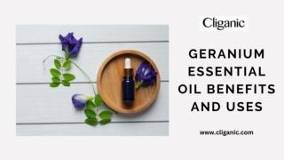 Geranium Essential Oil Benefits and Uses