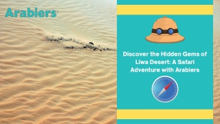 Discover the Hidden Gems of Liwa Desert A Safari Adventure with Arabiers