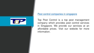 Pest Control Companies in Singapore