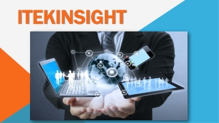 What are IT Professional services provided by ITEK Insight