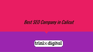 Best SEO Company in Calicut