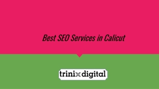 Best SEO Services in Calicut