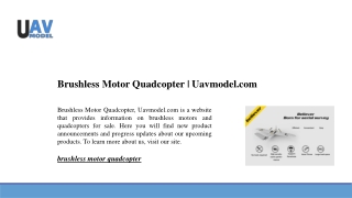 Brushless Motor Quadcopter | Uavmodel.com