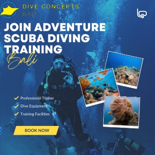 Join An Adventurous Scuba Diving Training Course In Bali - Dive Concept