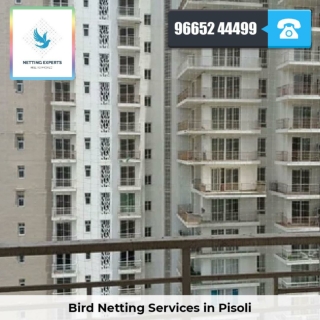 Bird Netting Services in Pisoli  - Netting Experts