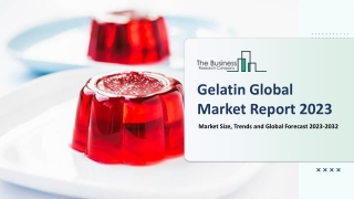 Gelatin Market