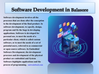 Software Development in Balasore