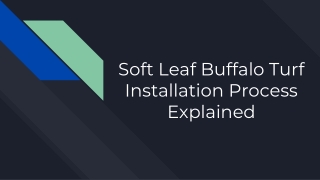 Soft Leaf Buffalo Turf Installation Process Explained