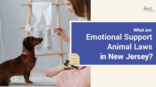 Know About Emotional Support Animal Laws in New Jersey