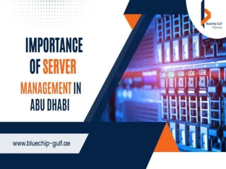 Importance of Server Management in Abu Dhabi