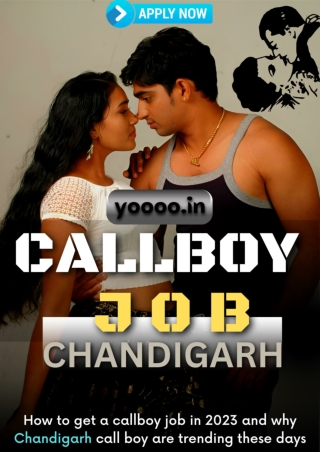 Who can apply for a call boy job in Chandigarh