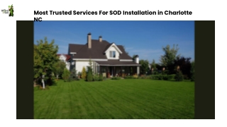 Most Trusted Services For SOD Installation in Charlotte NC