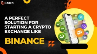 A Perfect Solution For Starting A Crypto Exchange Like Binance