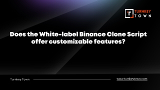 Does the White-label Binance Clone Script offer customizable features