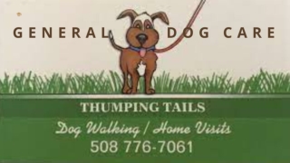 General Dog Care