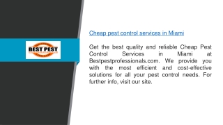 Cheap Pest Control Services In Miami  Bestpestprofessionals.com