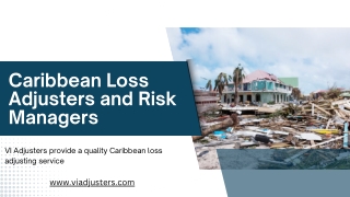 Catastrophe Adjusters for Insurance Companies in the Caribbean | VI Adjusters