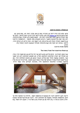 חלונות עץ – הבחירה הנכונה