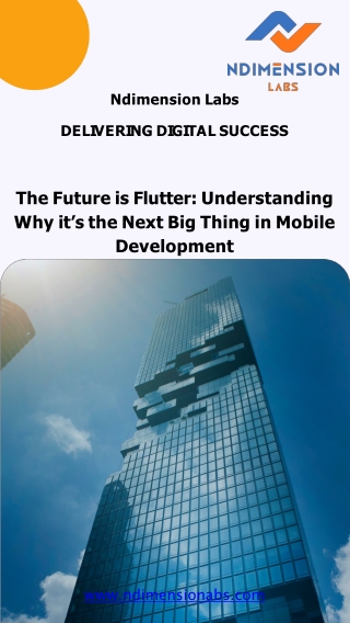 The Future is Flutter Understanding Why it’s the Next Big Thing in Mobile Development