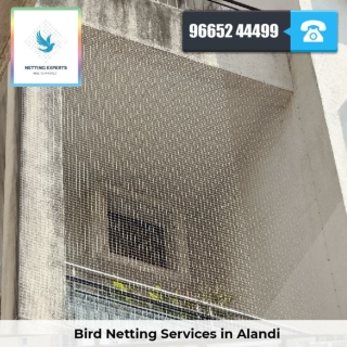 Bird Netting Services in Alandi - Netting Experts