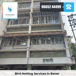 Bird Netting Services in Baner - Netting Experts