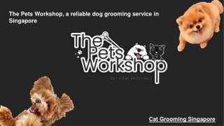 The Pets Workshop, a reliable dog grooming service in Singapore