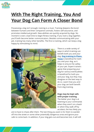 With The Right Training, You And Your Dog Can Form A Closer Bond